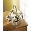 The Divinity Basket